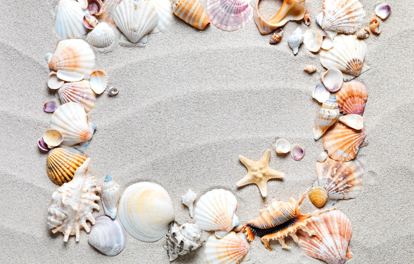 Photo wallpaper sand, beach, frame, shell, sand, starfish, seashells