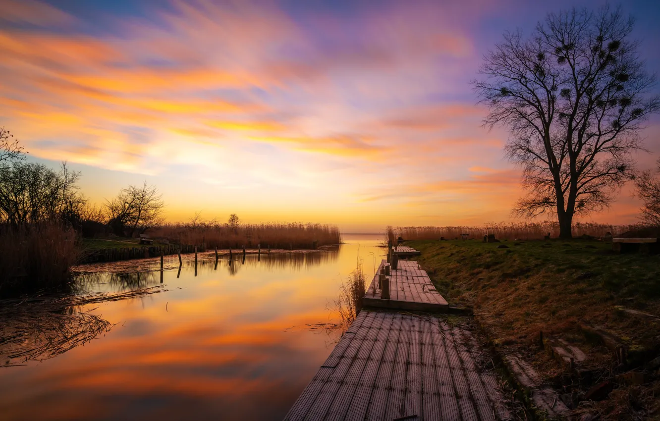 Photo wallpaper trees, sunset, shore, bridges, pond