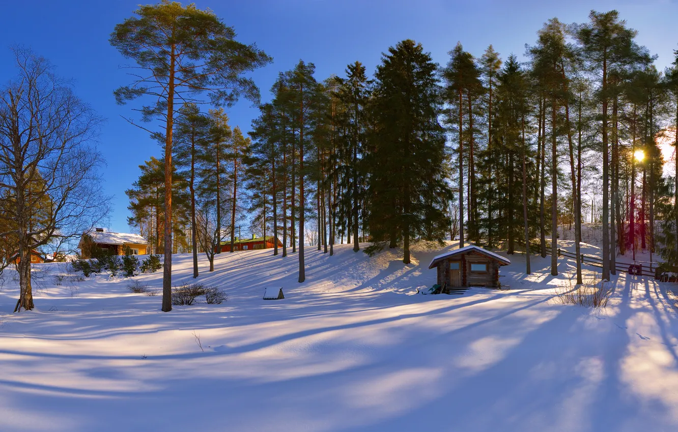 Photo wallpaper winter, snow, home, pine