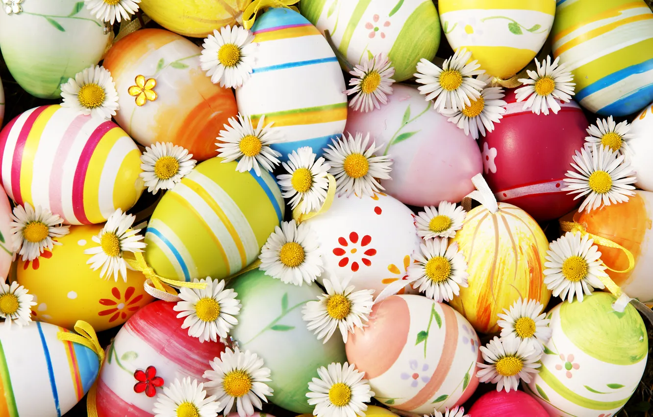 Photo wallpaper flowers, chamomile, eggs, Easter, flowers, Easter, eggs