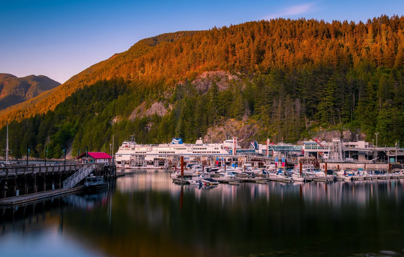 Photo wallpaper forest, boats, port, Canada, boats