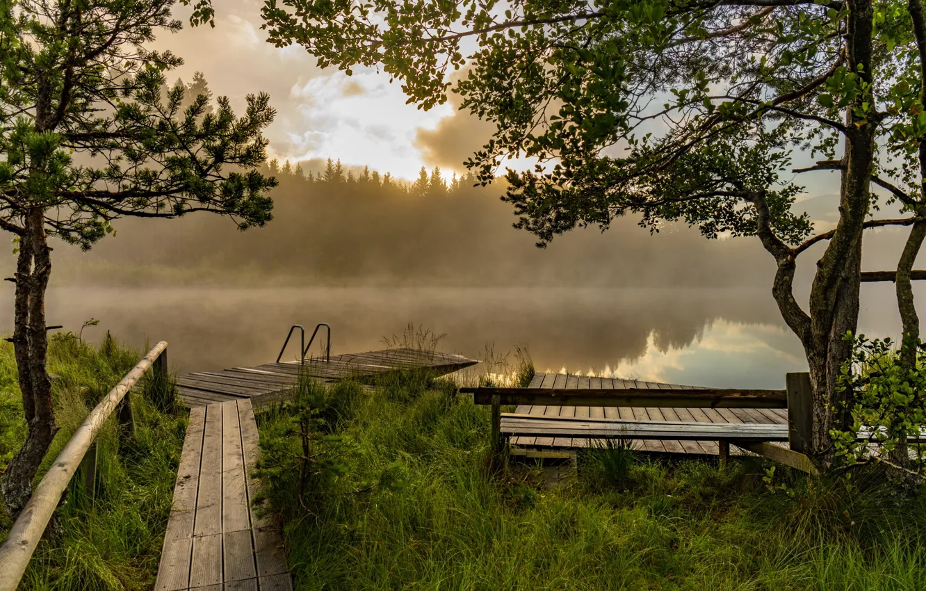 Photo wallpaper fog, lake, morning, pier