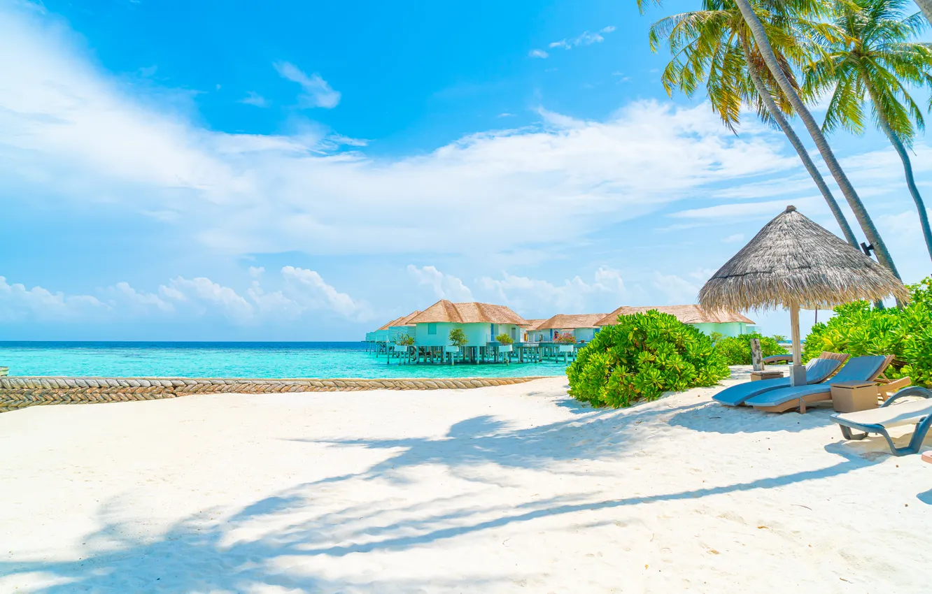 Photo wallpaper sand, sea, wave, beach, summer, the sky, palm trees, shore