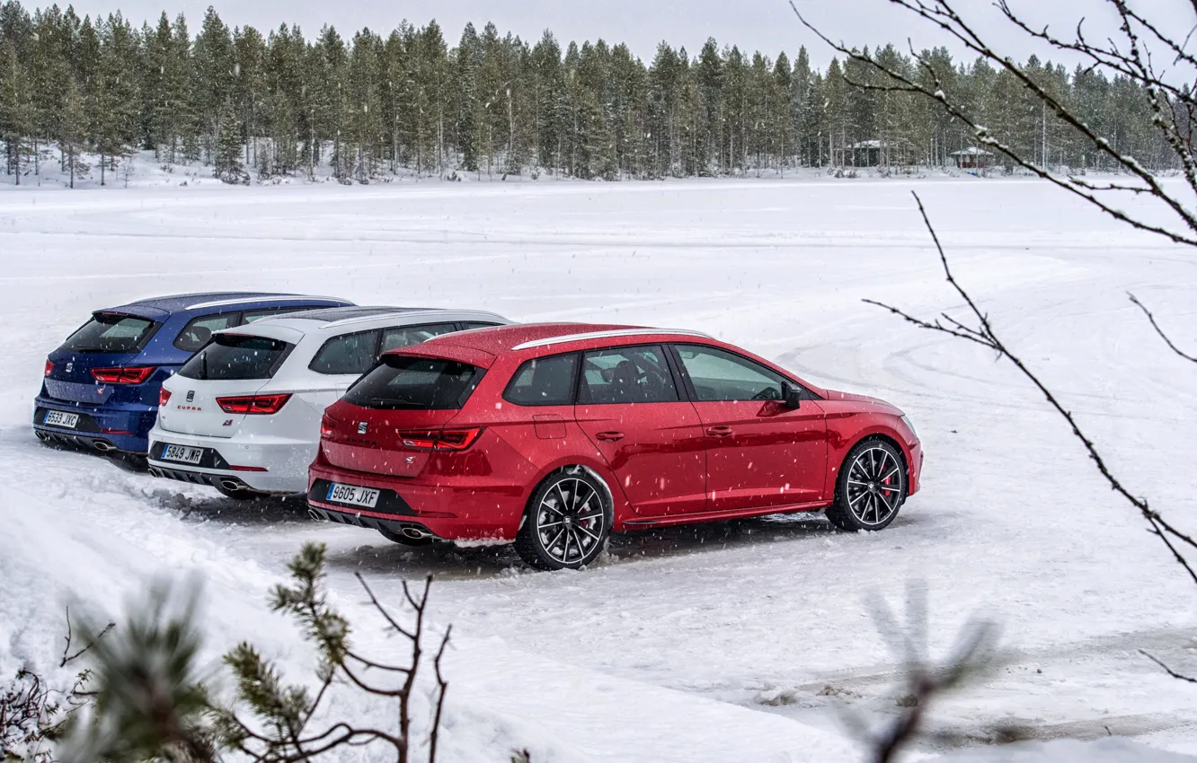Photo wallpaper snow, branches, Parking, Seat, 2017, Leon Cupra ST, station wagons