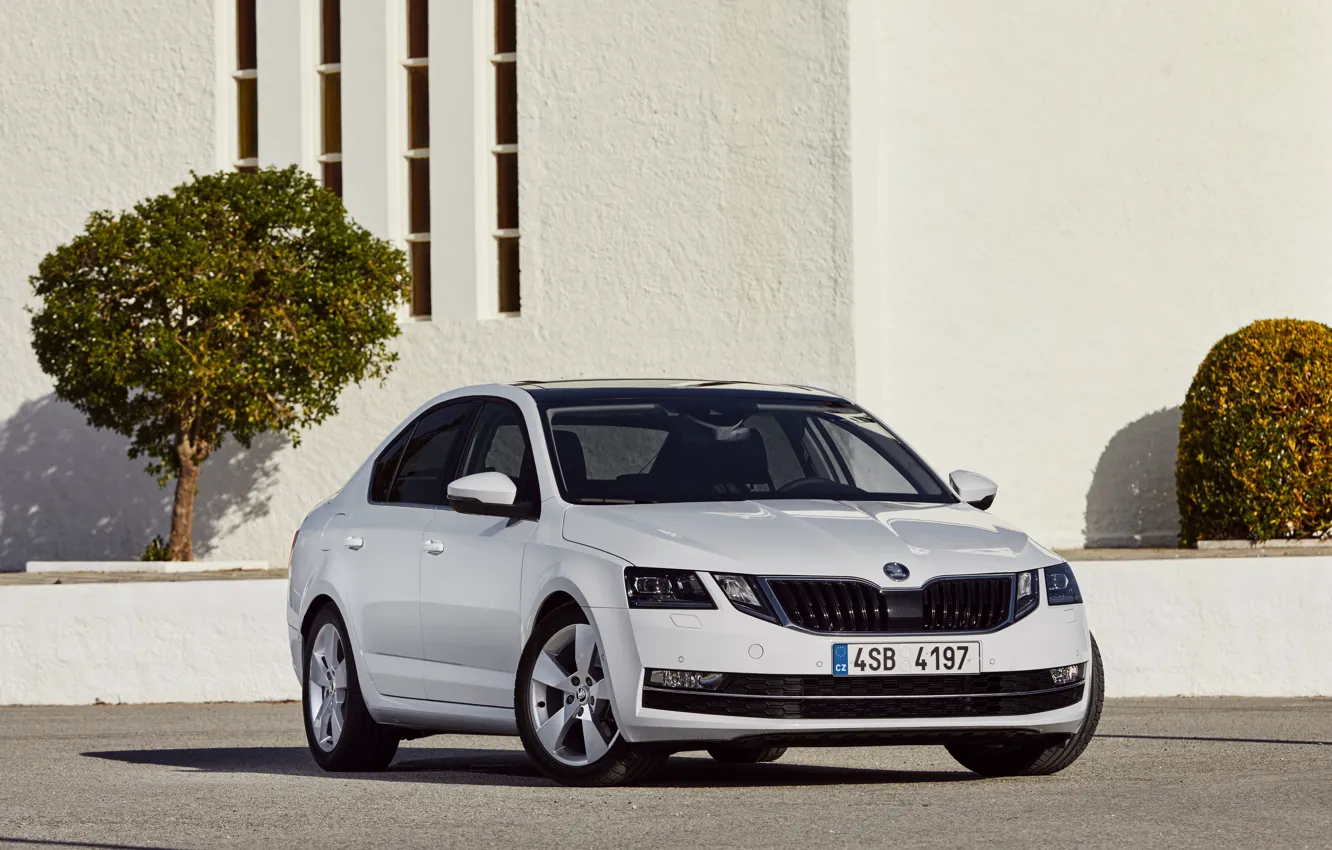 Photo wallpaper white, asphalt, wall, sedan, the bushes, Skoda, Skoda, Octavia