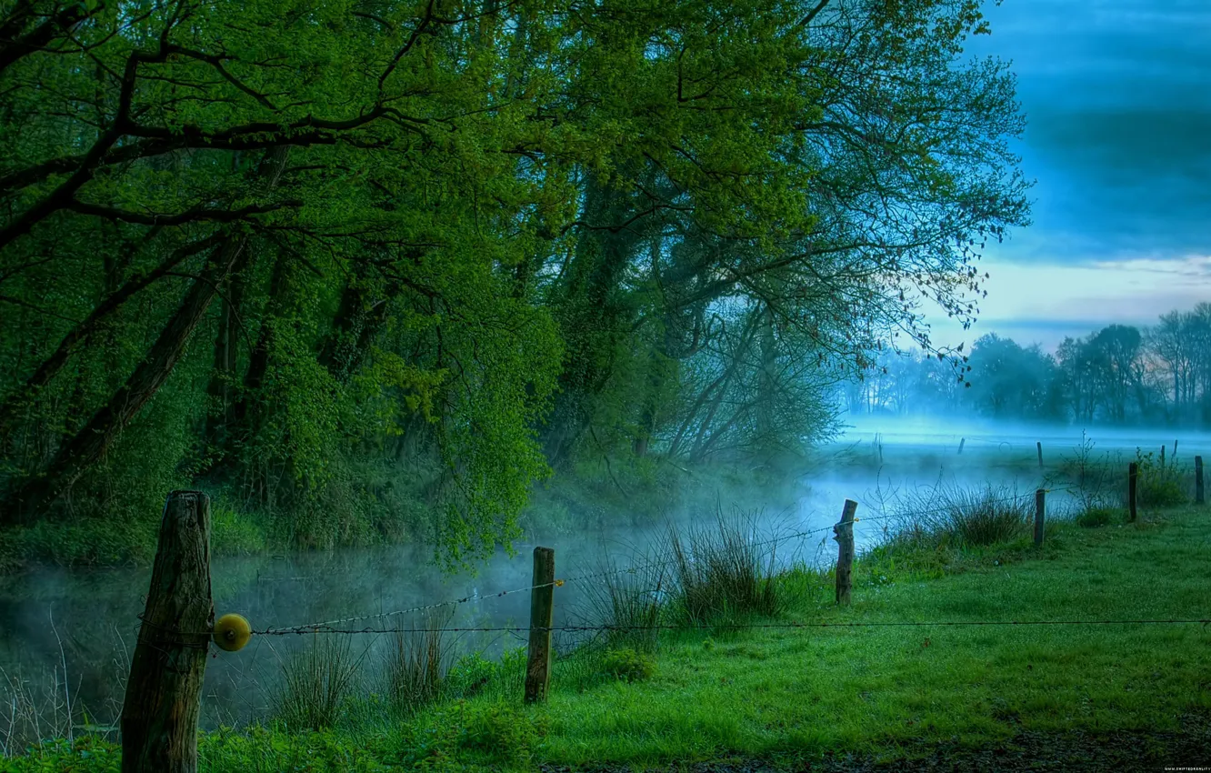 Photo wallpaper fog, river, morning, meadow