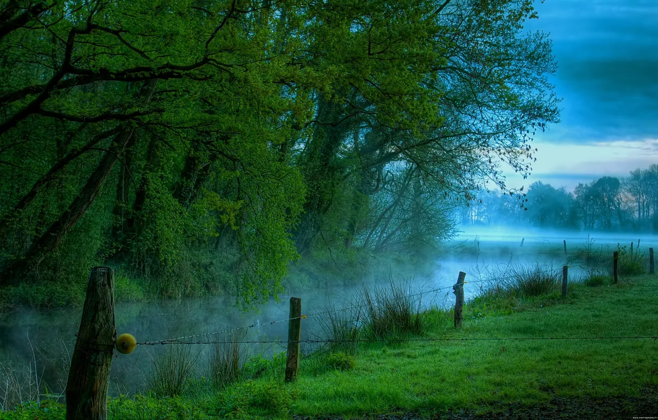 Photo wallpaper Fog, River, Morning, Meadow