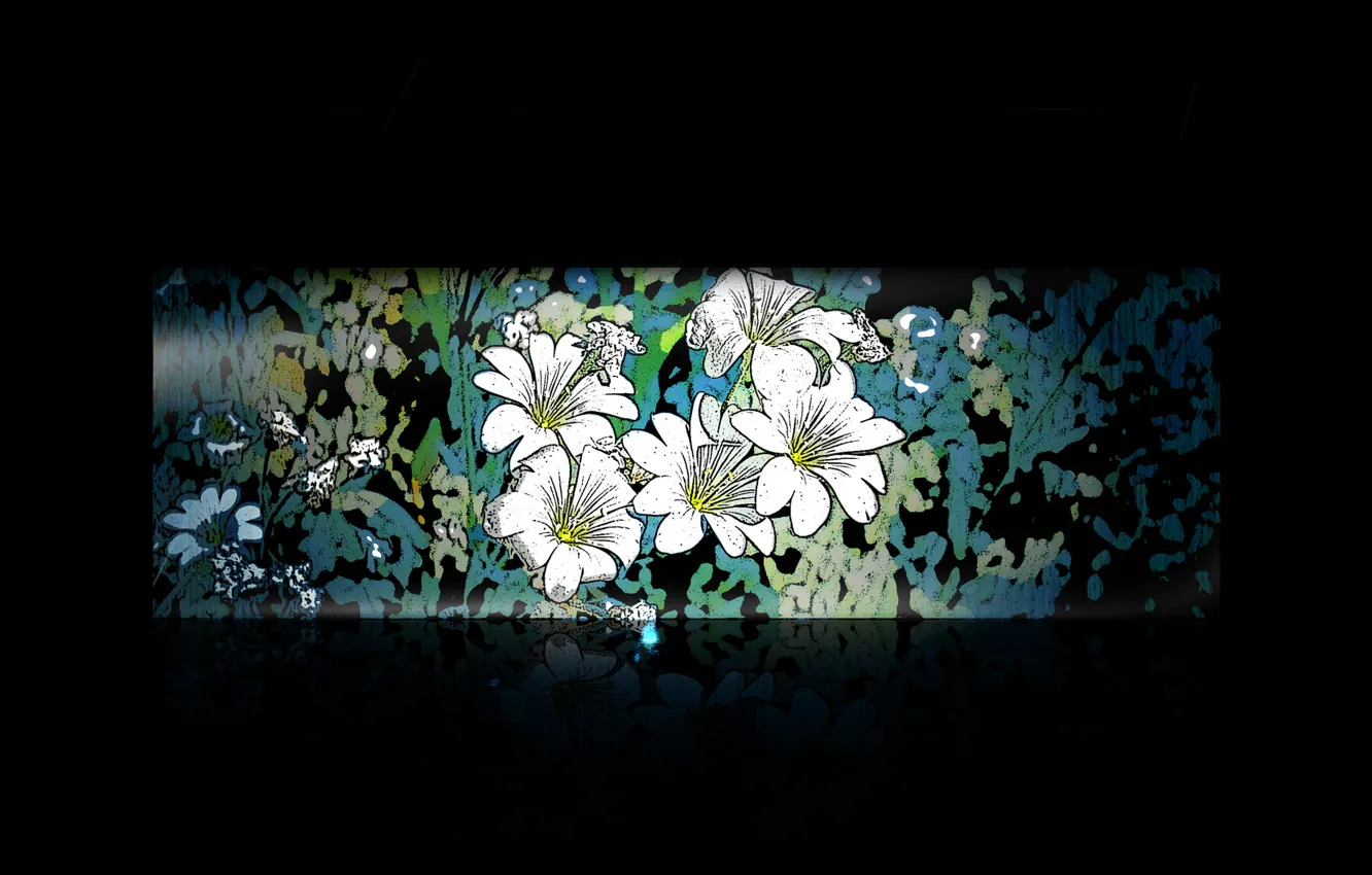 Photo wallpaper flowers, the dark background, pattern, minimalism
