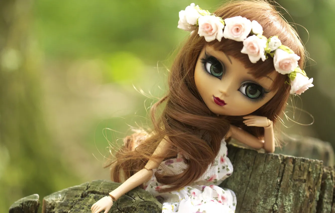 Photo wallpaper nature, toy, stump, doll, wreath, long hair