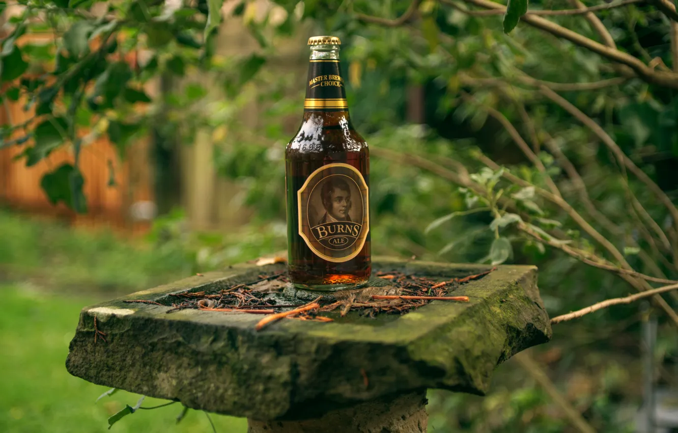 Photo wallpaper bottle, bokeh, Scotland, the poet, pedestal, celebrate, Robert Burns