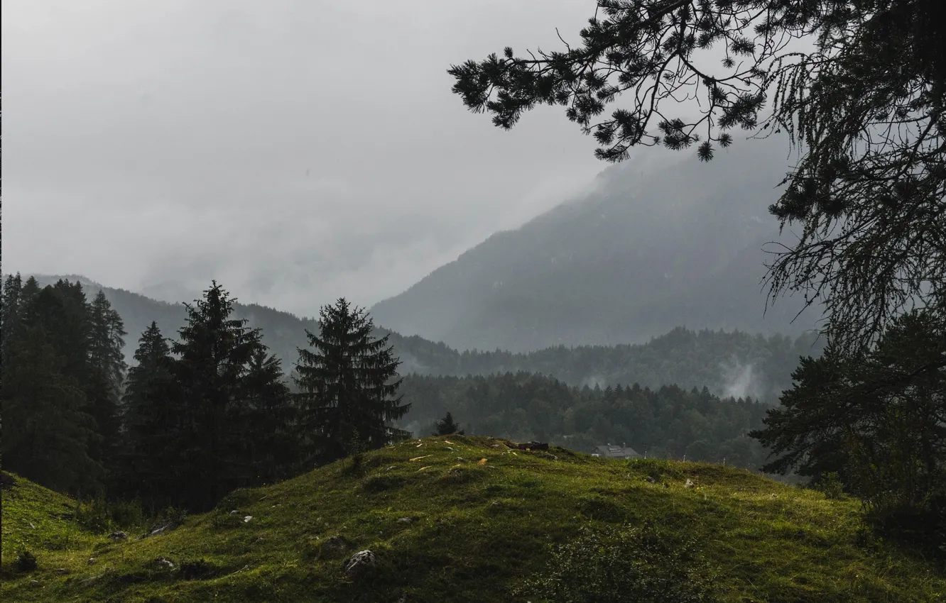 Photo wallpaper forest, mountains, Germany, Bayern, Grainau