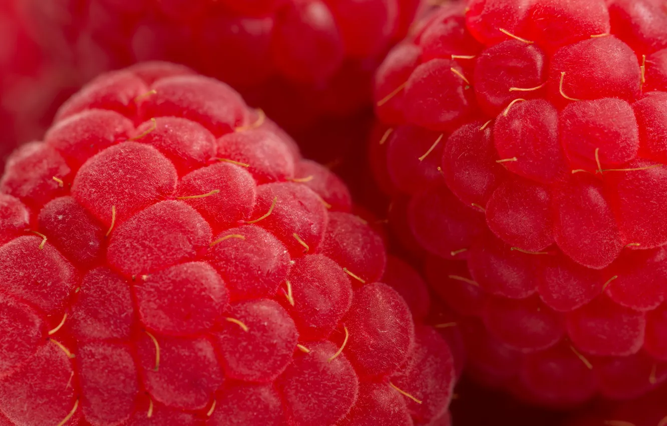 Photo wallpaper red, berries, raspberry, delicious