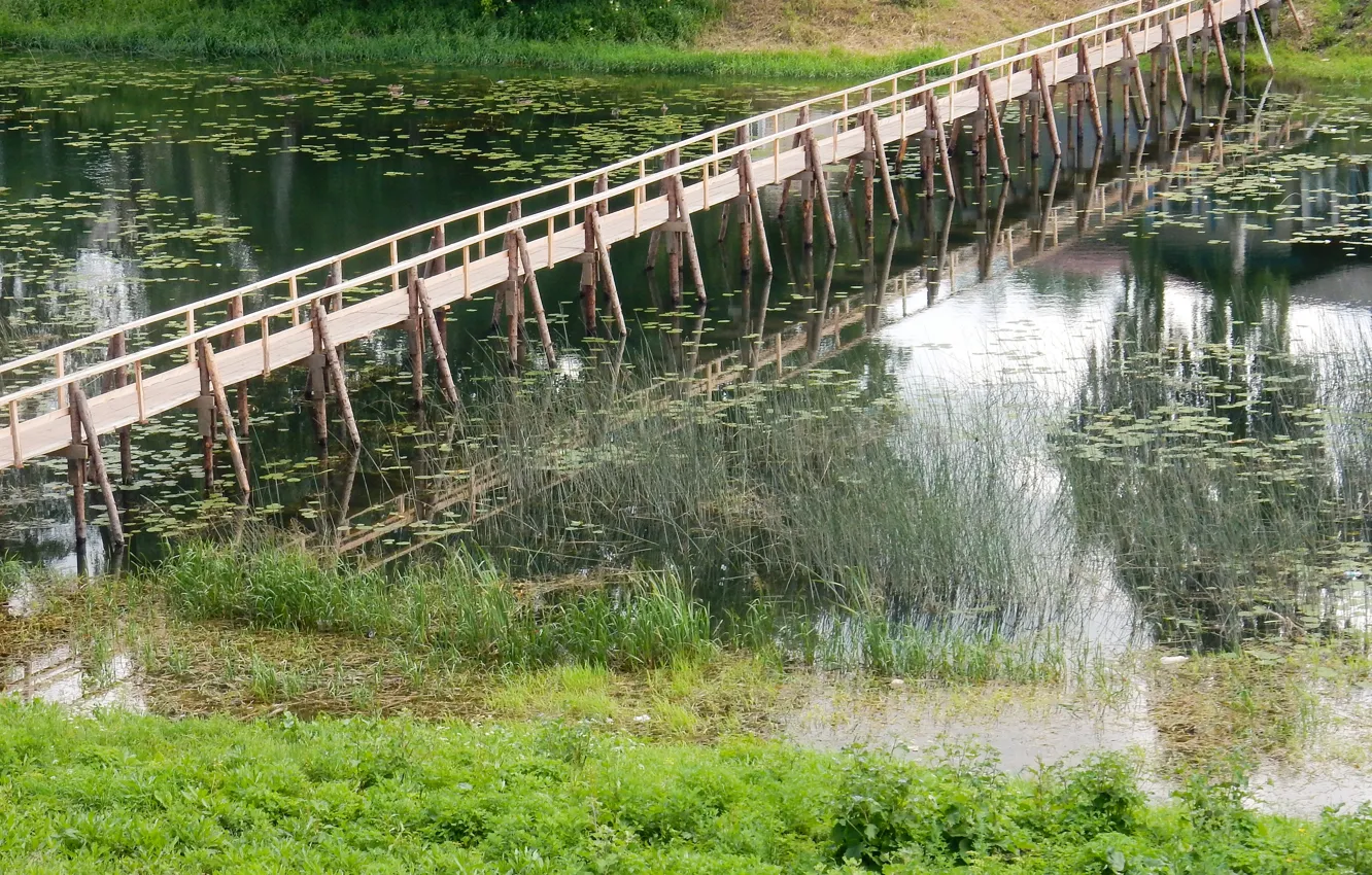 Photo wallpaper summer, grass, trees, landscape, nature, river, widescreen, Wallpaper