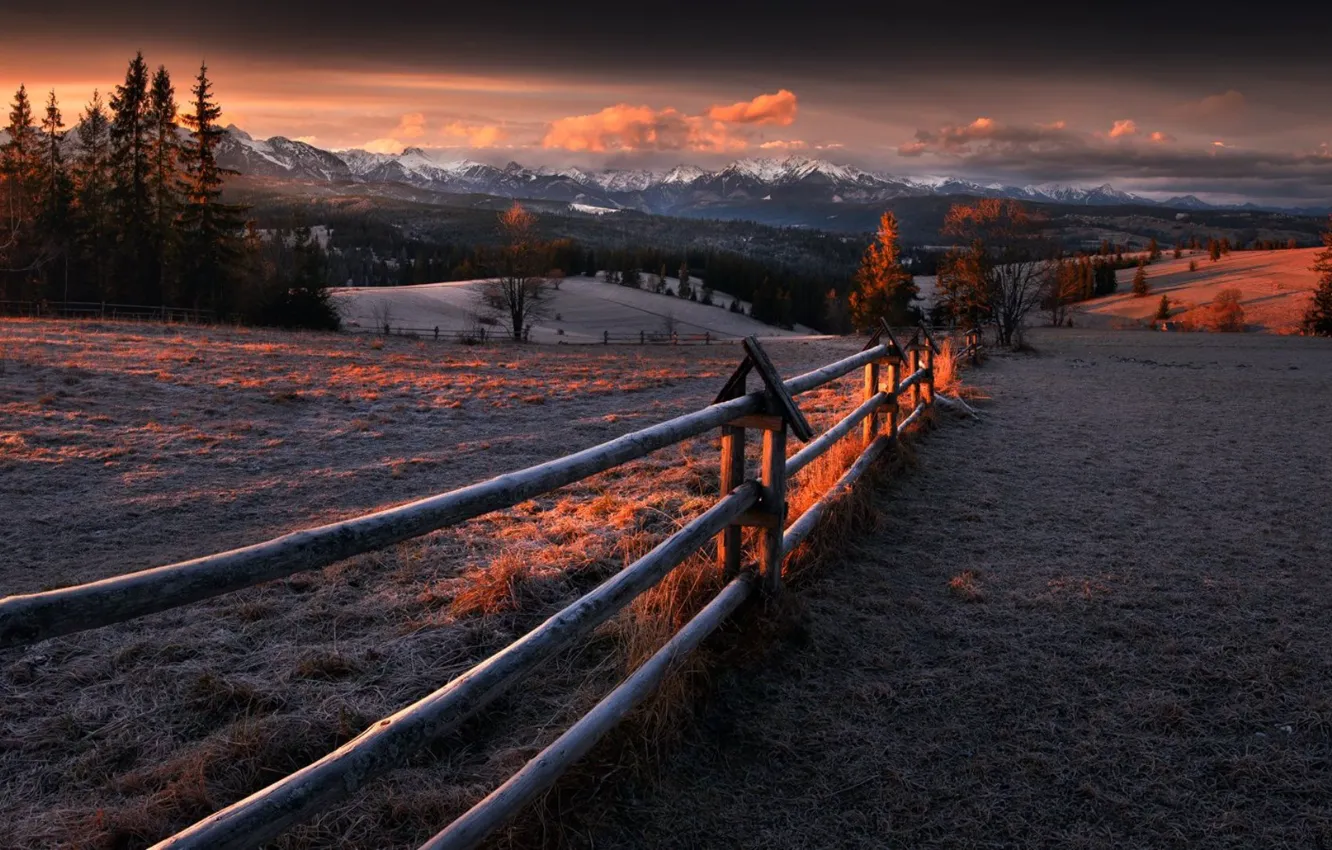 Photo wallpaper field, the fence, morning