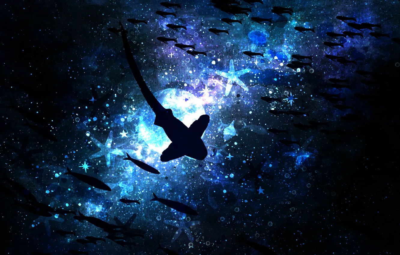 Photo wallpaper the sky, water, night, reflection, the moon, fish