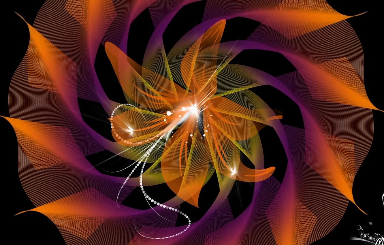 Photo wallpaper flowers, pattern, the dark background