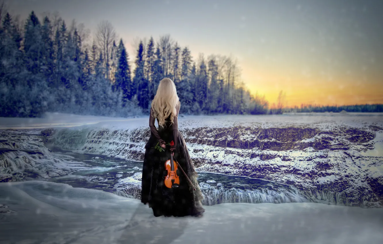 Photo wallpaper girl, snow, violin, rose, dress, Winter Solstice
