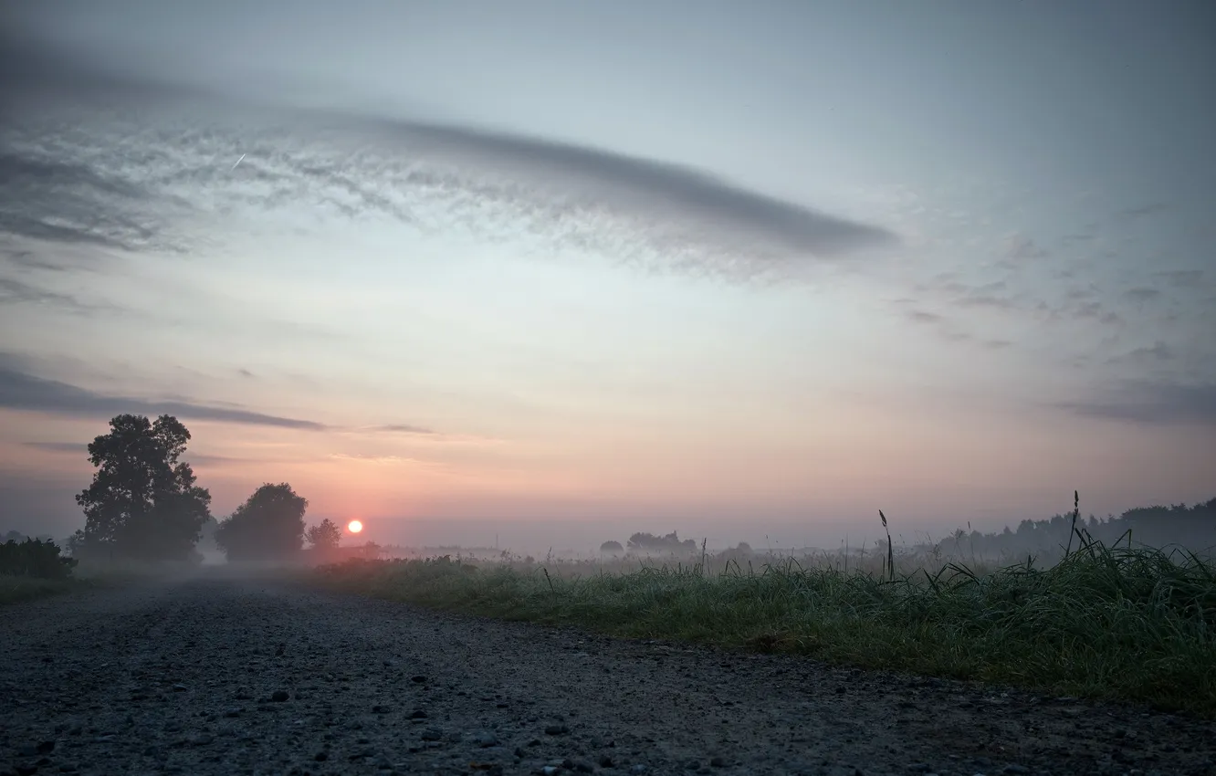 Photo wallpaper road, fog, morning