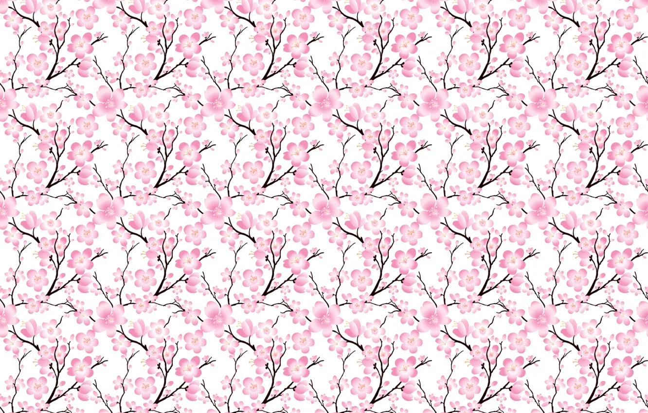 Photo wallpaper flowers, branches, cherry, Sakura