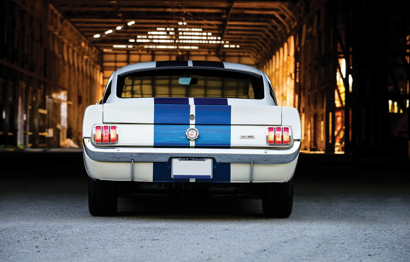 Photo wallpaper Mustang, Ford, Ford Mustang Shelby GT350, rear view