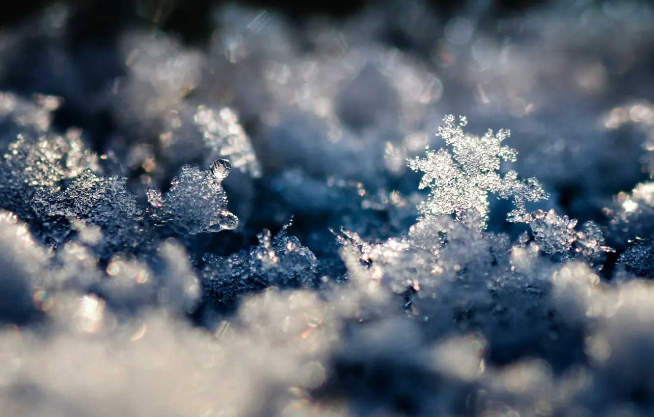 Photo wallpaper winter, macro, snow, snowflakes, photo, background, Wallpaper