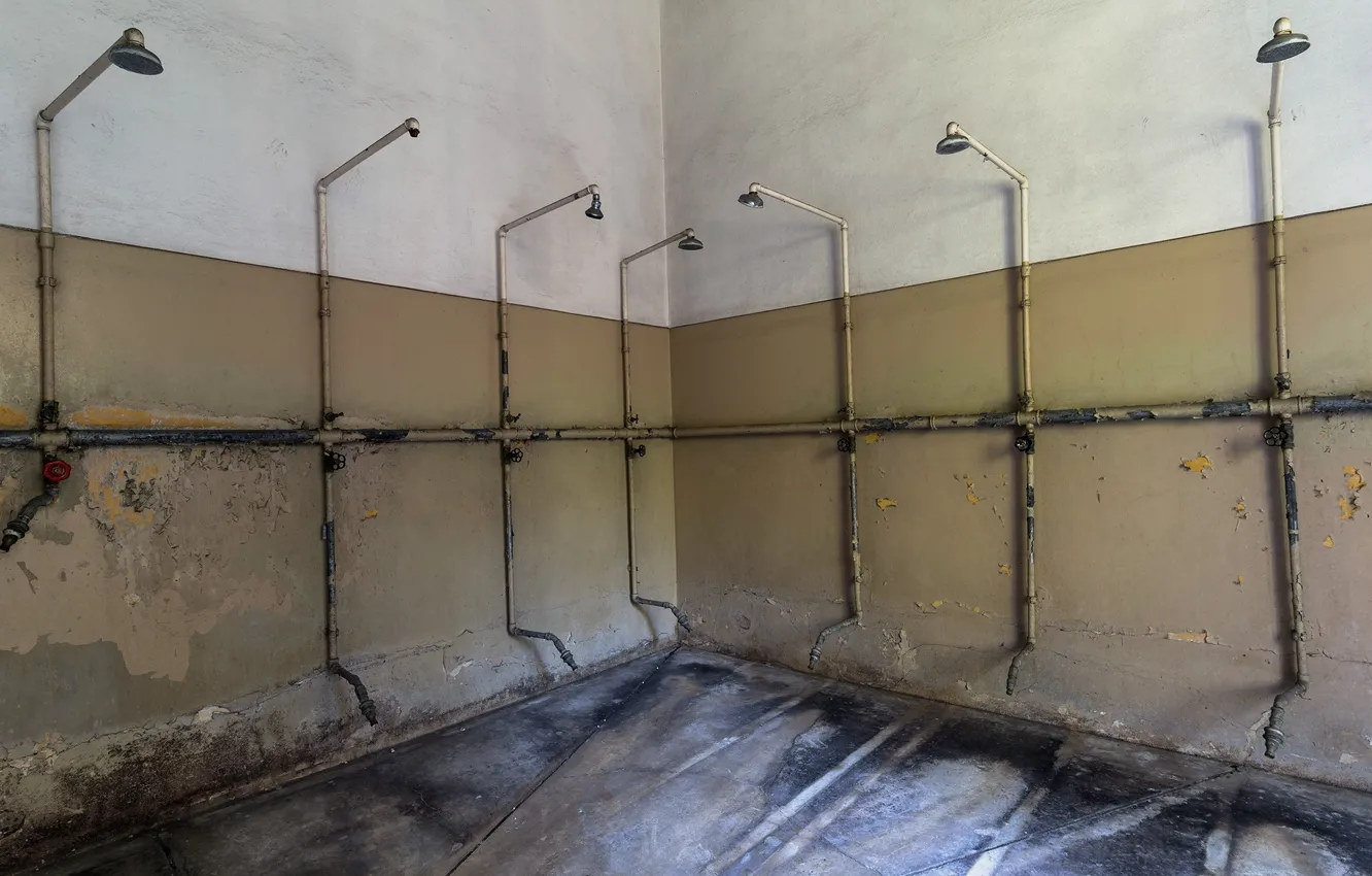 Photo wallpaper room, shower, prison