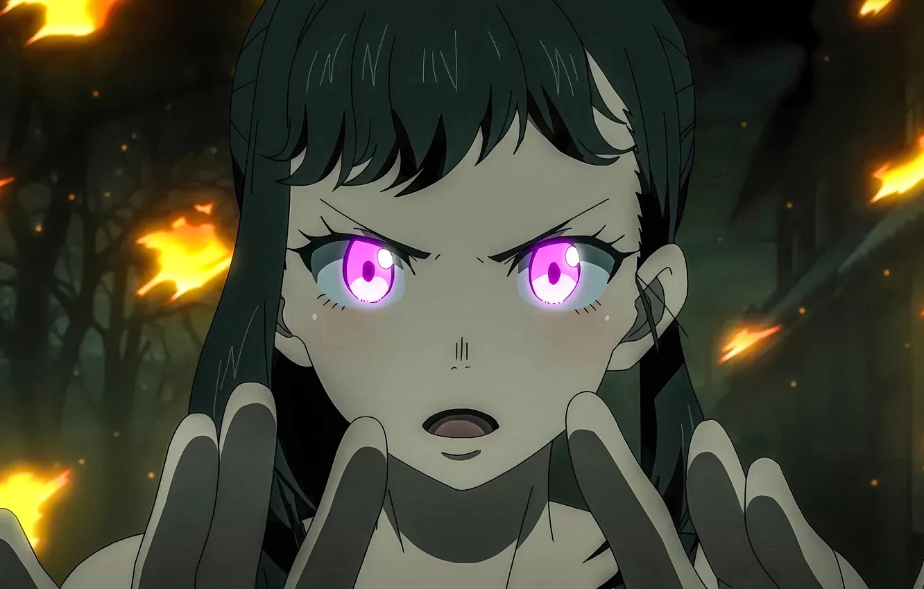 Photo wallpaper look, girl, anime, anime, high quality, dark hair, Flaming Fire Brigade, Fire Force