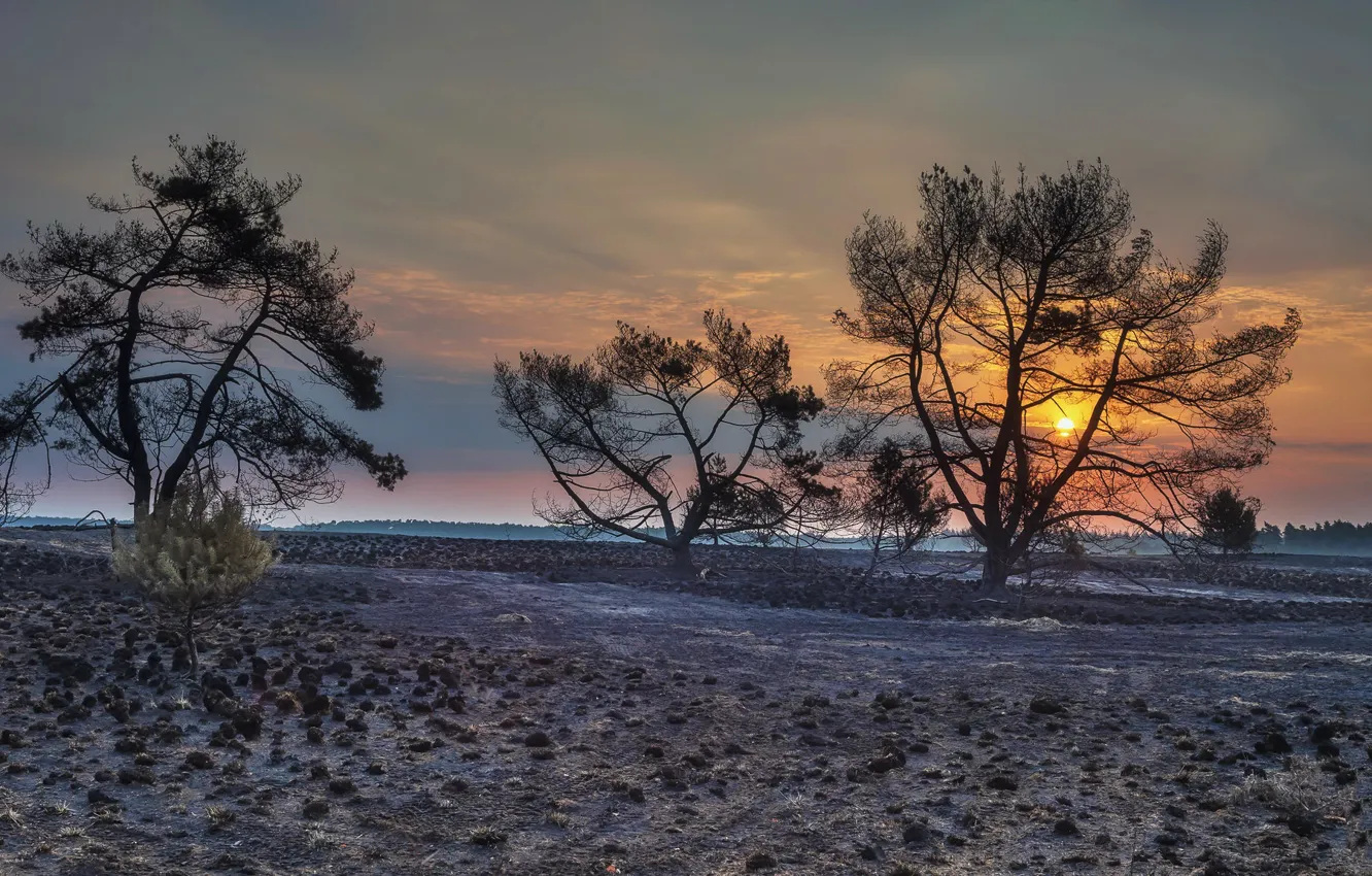 Photo wallpaper sunset, Nederland, Gelderland, Oud-Reemst