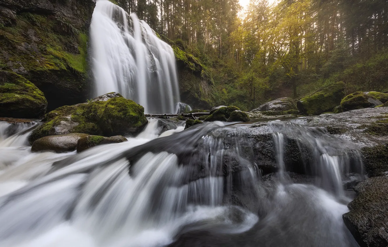 Photo wallpaper forest, river, stones, waterfall, cascade, Washington