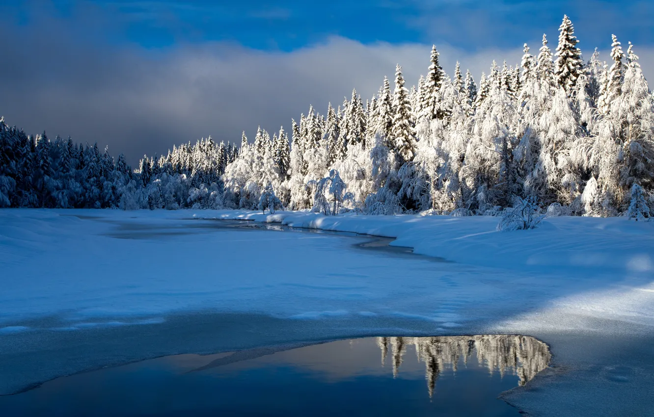 Photo wallpaper winter, forest, the sky, water, clouds, light, snow, trees