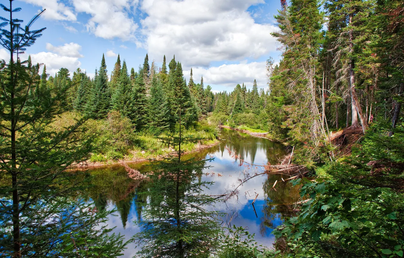 Photo wallpaper clouds, trees, nature, Park, river, Canada, Algonquin Provincial Park