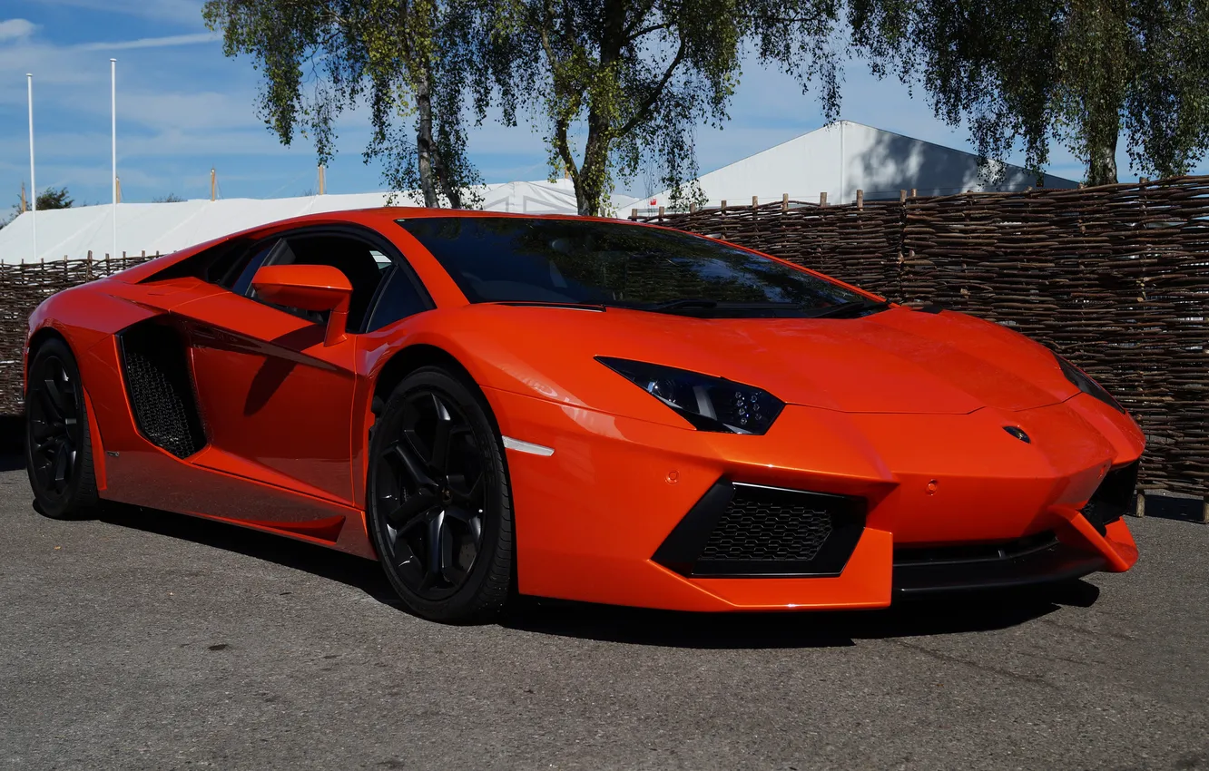 Photo wallpaper the sky, trees, orange, Lamborghini, side view, orange, LP700-4, Aventador