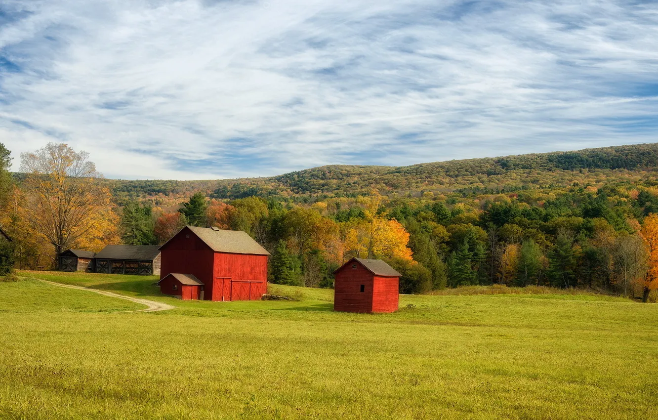 Photo wallpaper field, summer, landscape, home