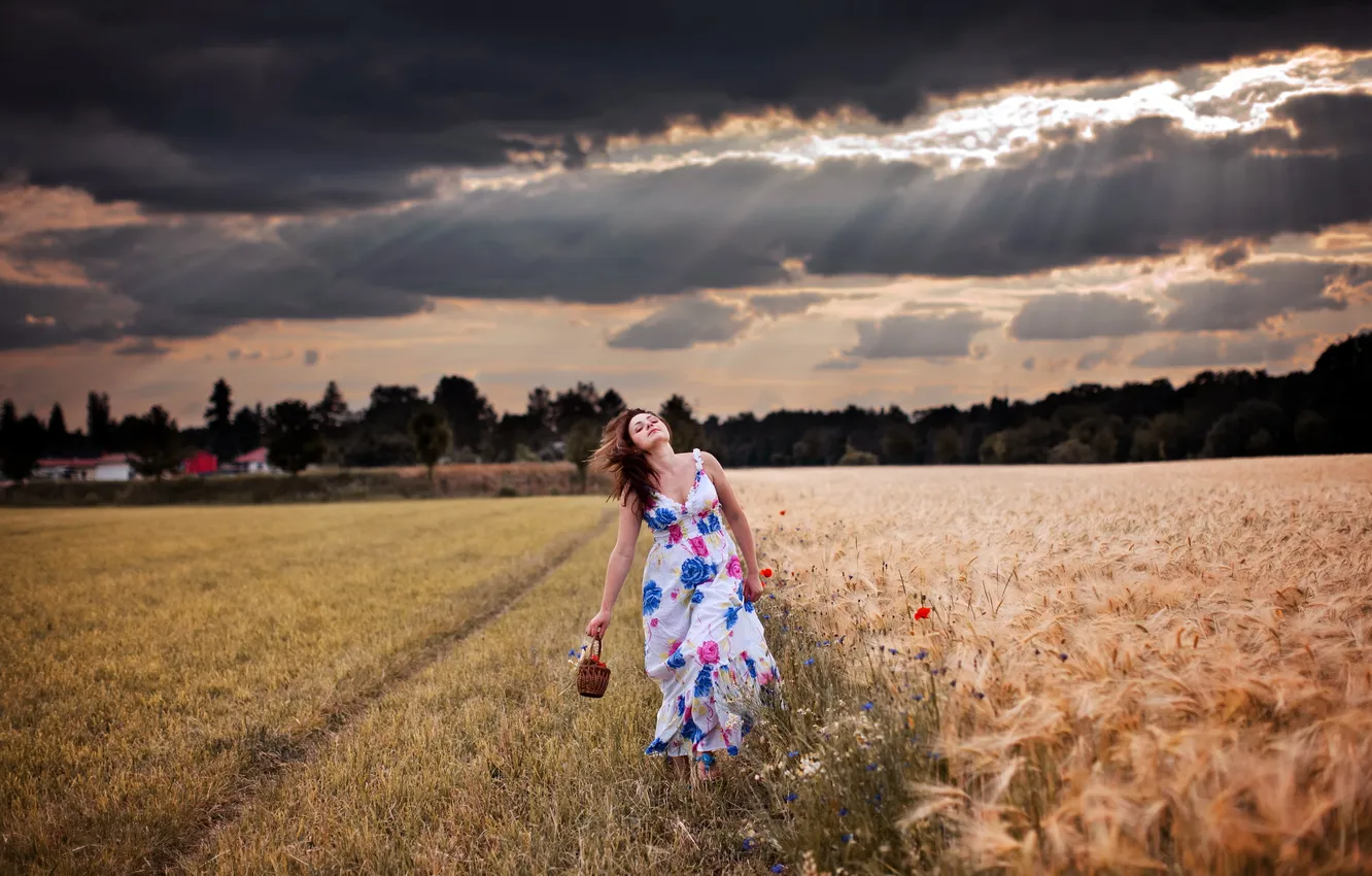 Photo wallpaper field, girl, sunset