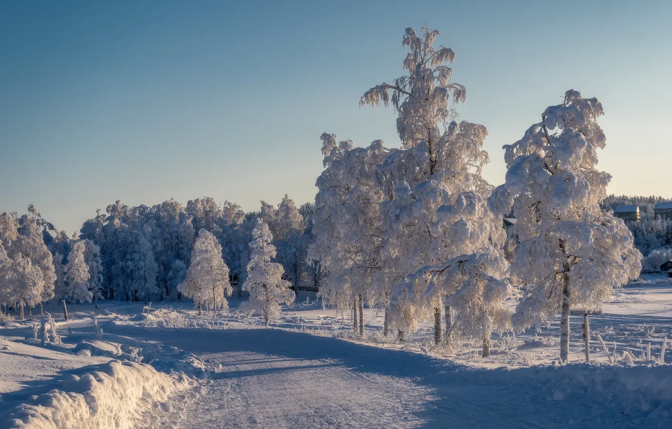 Photo wallpaper road, snow, winter