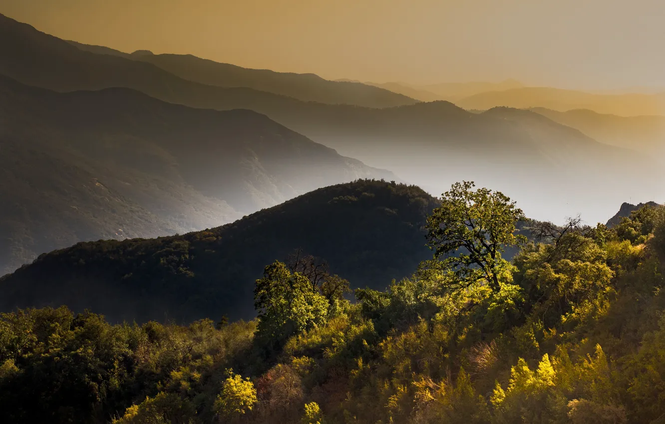 Photo wallpaper autumn, trees, mountains, fog