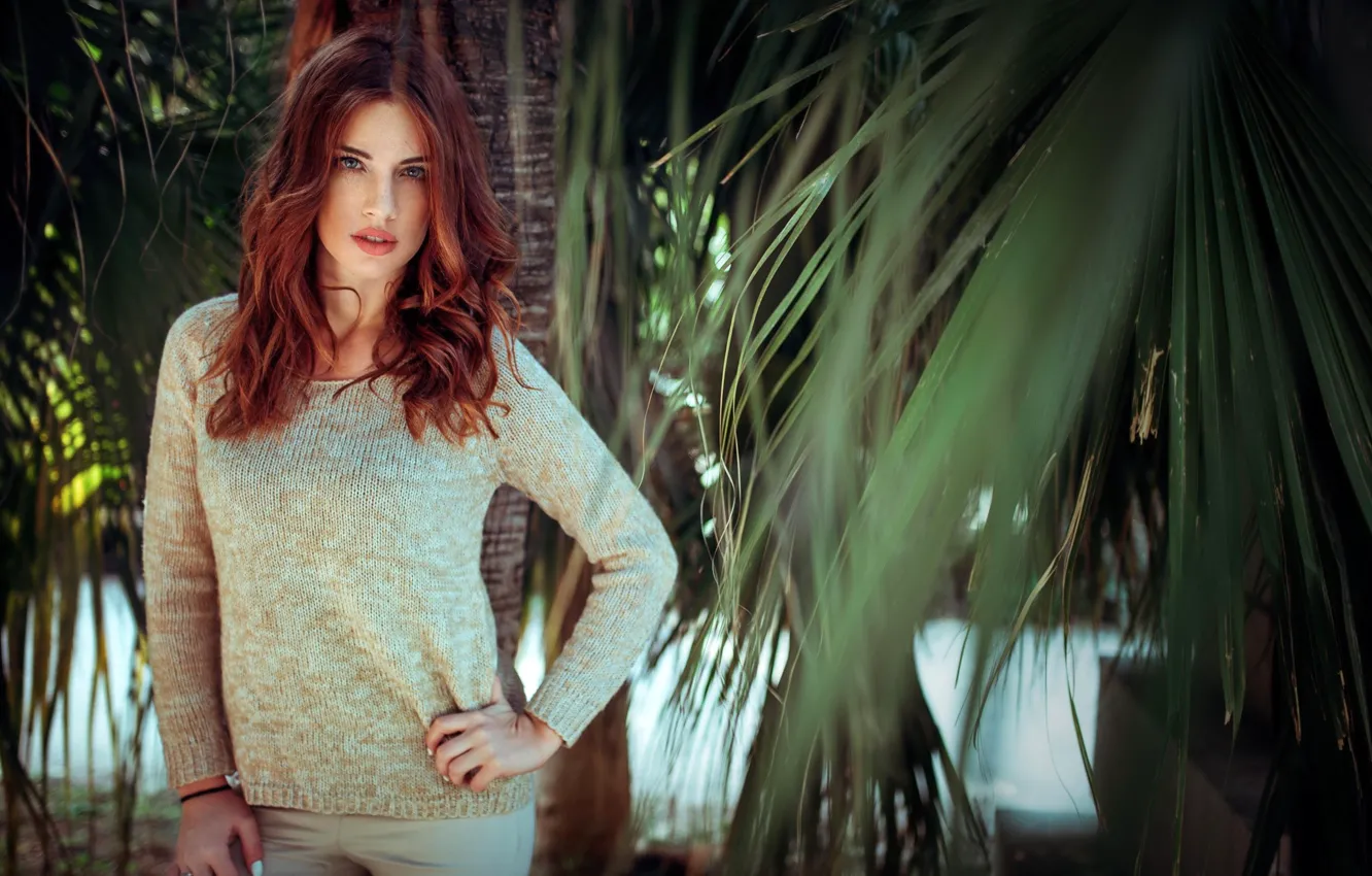 Wallpaper Pose, Palm Trees, Model, Portrait, Brown Hair, Manthos ...