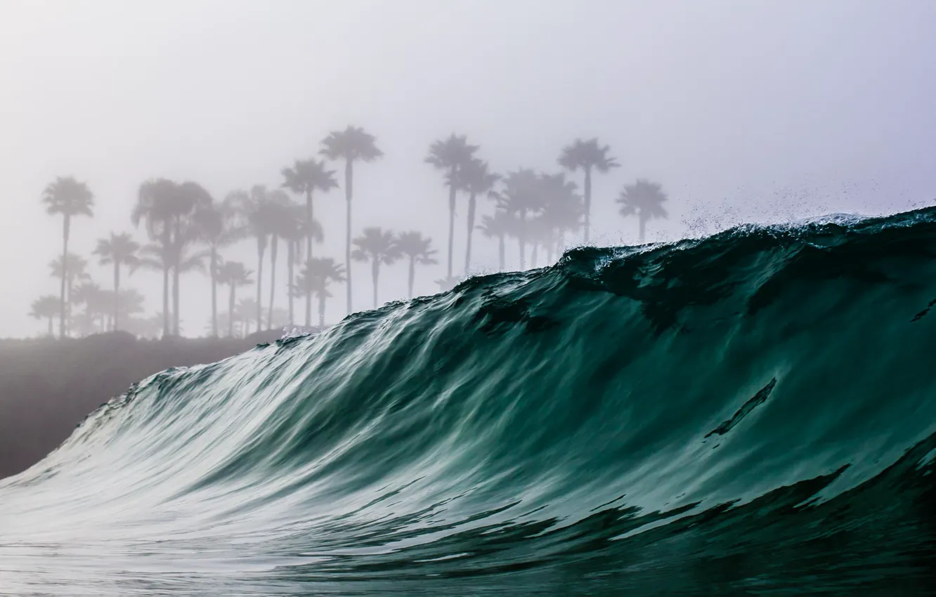 Photo wallpaper sea, wave, water, palm trees, the ocean