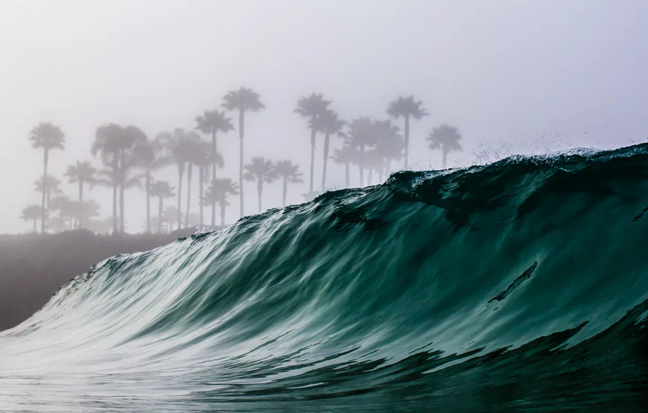 Photo wallpaper sea, water, palm trees, the ocean, wave
