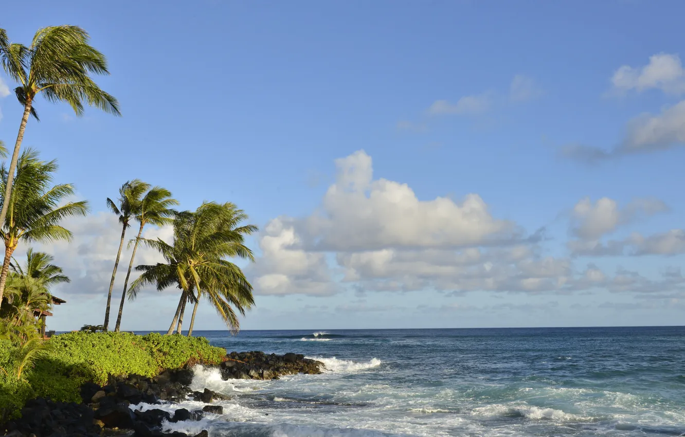 Photo wallpaper sea, the sky, clouds, landscape, tropics, palm trees, shore
