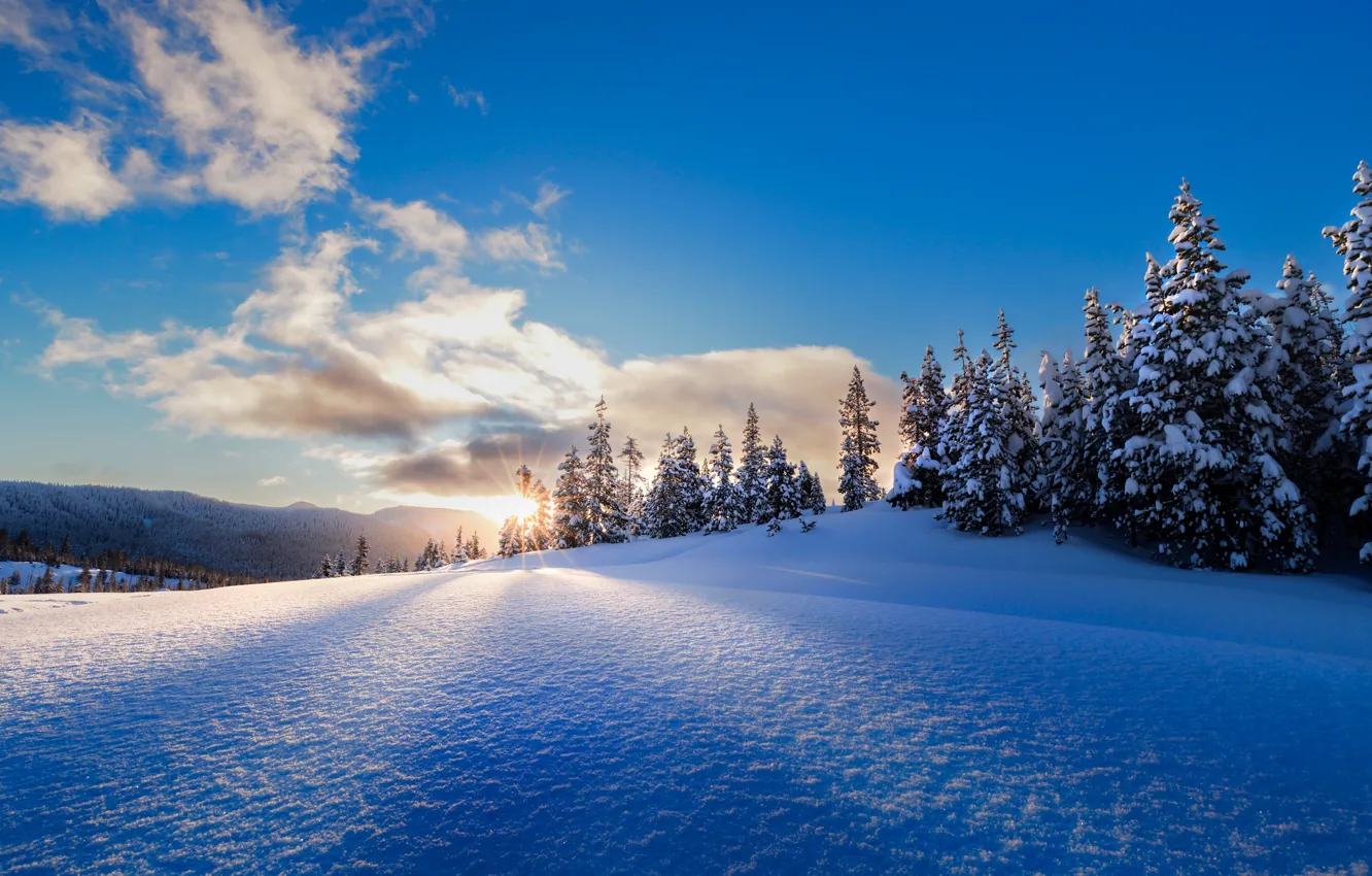 Photo wallpaper winter, snow, sunrise, dawn, morning, ate, Oregon