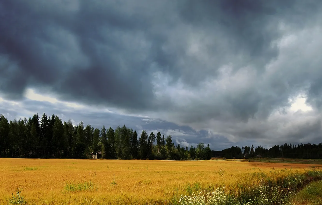 Photo wallpaper field, the sky, clouds, storm, nature, storm, sky, nature