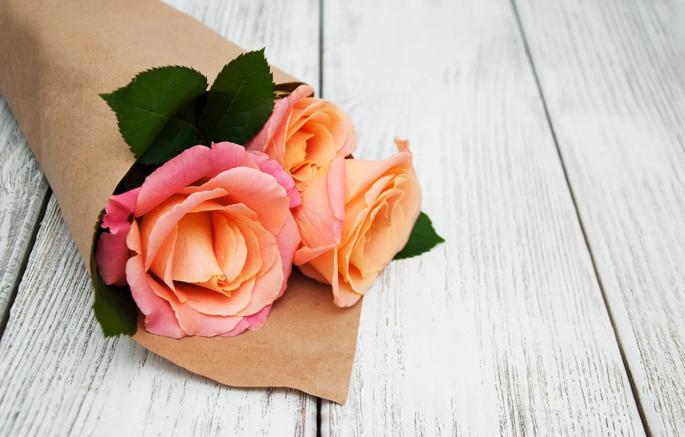 Photo wallpaper roses, roses, bouguet, Olena Rudo