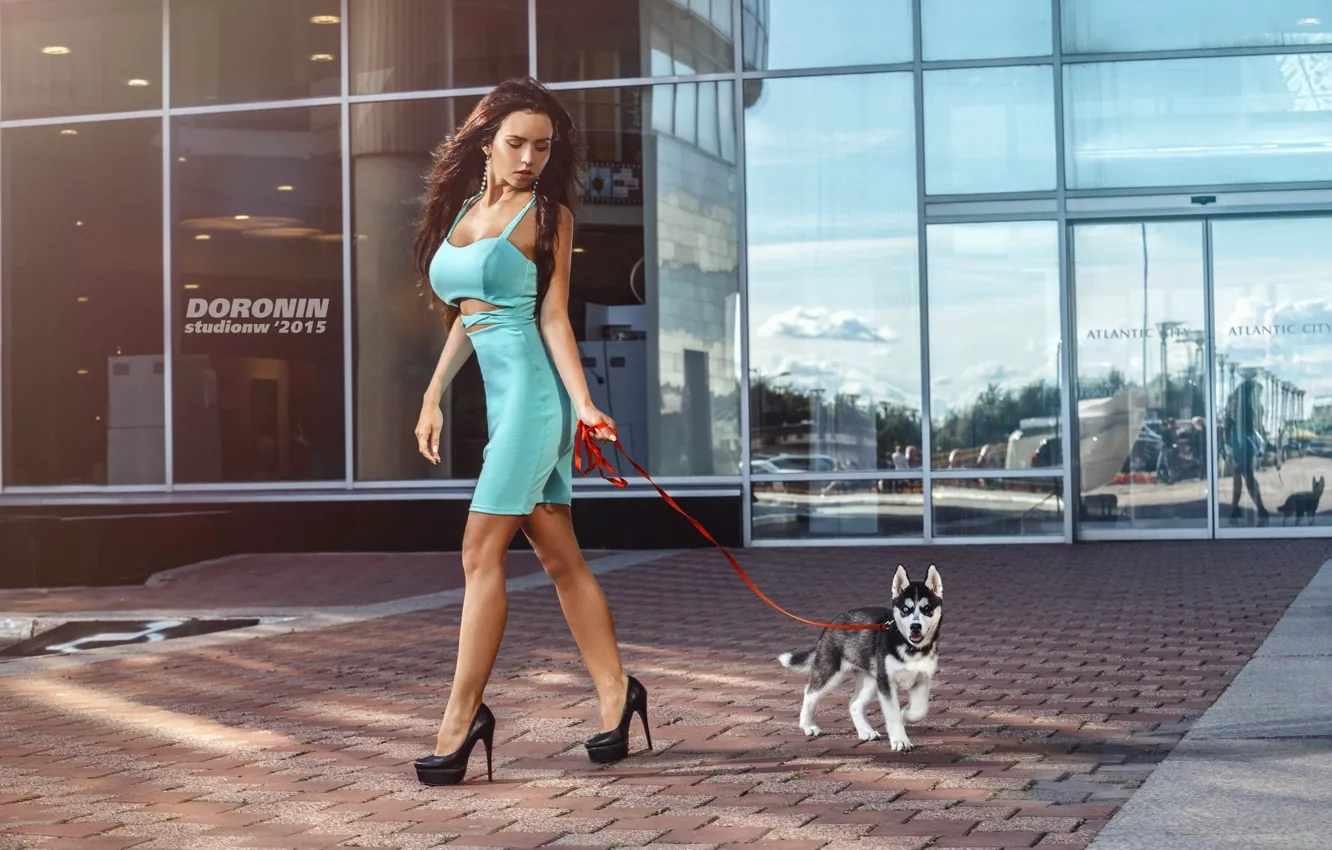 Photo wallpaper glass, girl, reflection, building, dog, figure, slim, dress