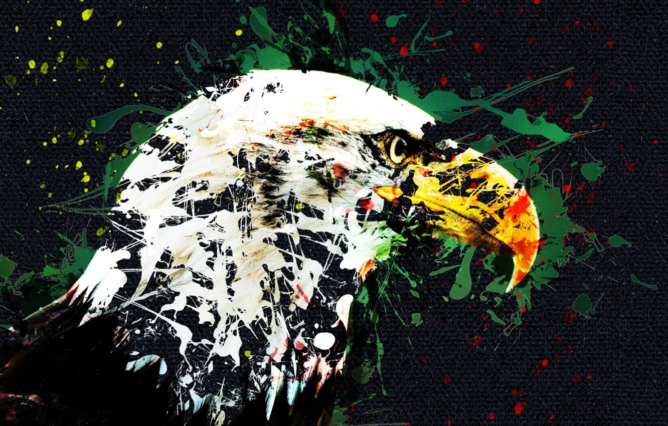 Photo wallpaper bird, art, eagle