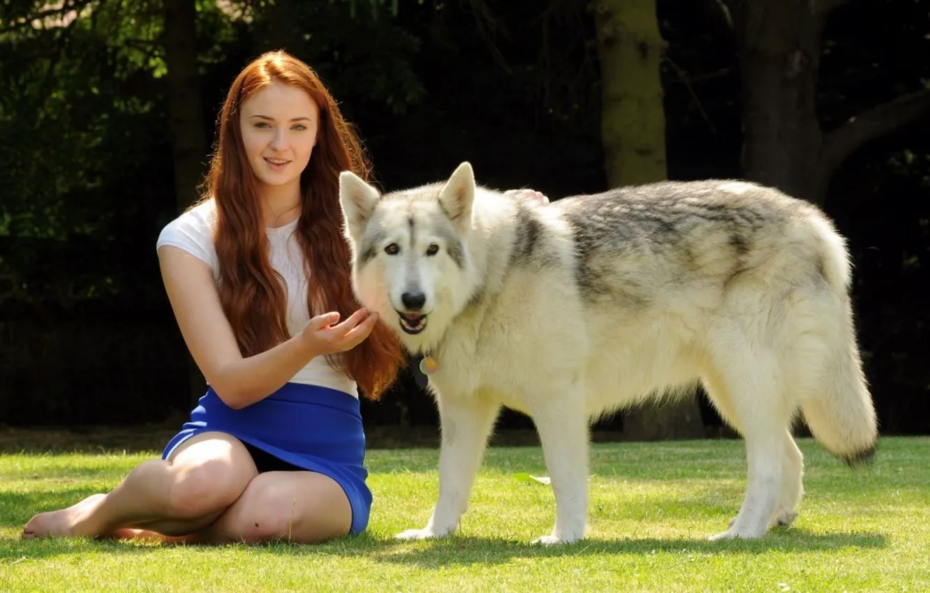 Photo wallpaper girl, jungle, beautiful, wolf, nice