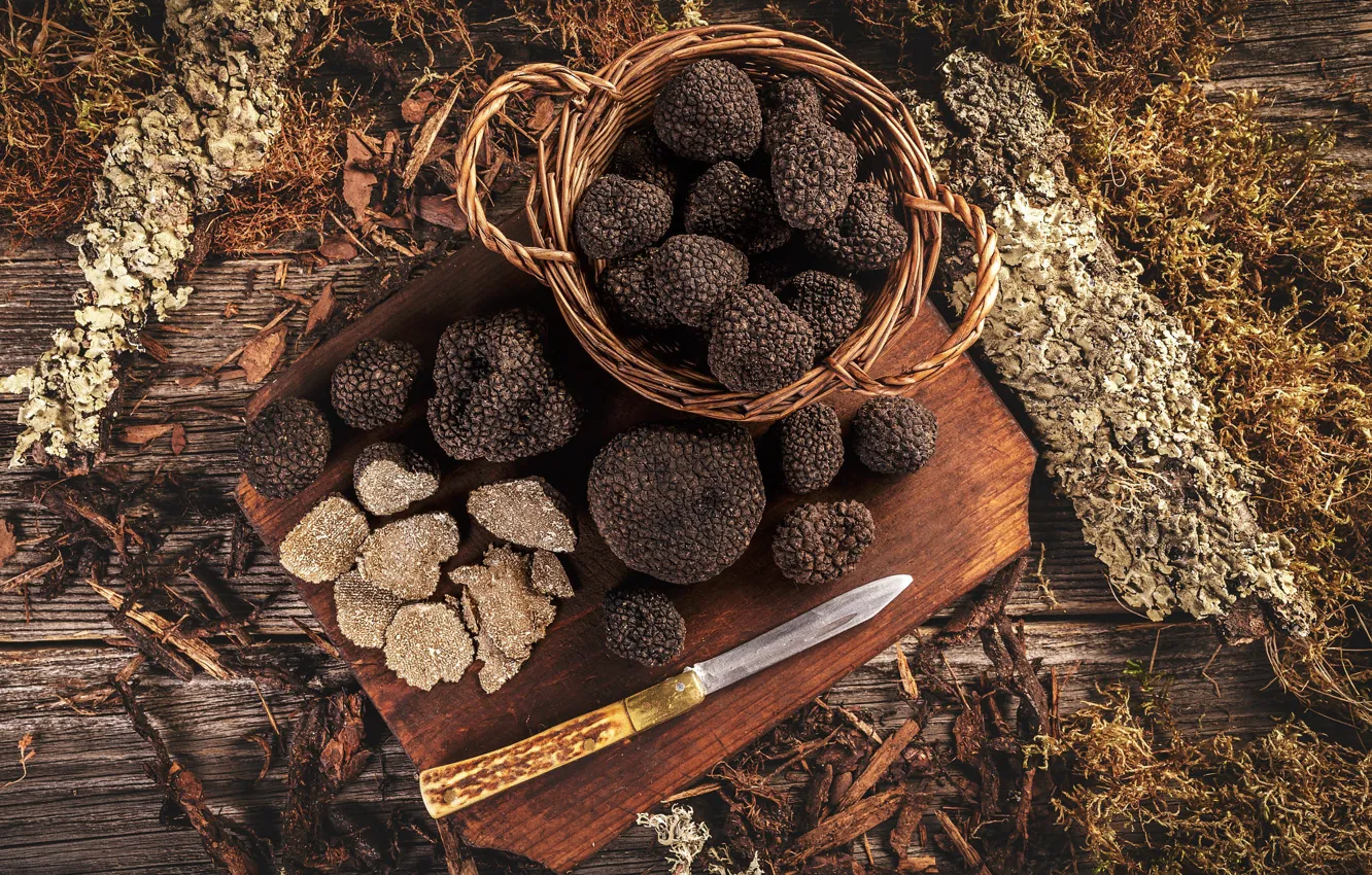 Photo wallpaper mushrooms, moss, harvest, knife, bark, basket, truffles