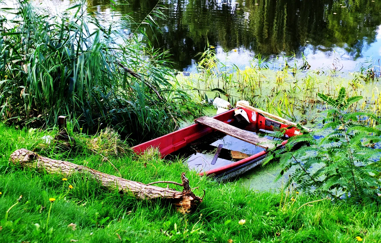 Photo wallpaper green, nature, boat