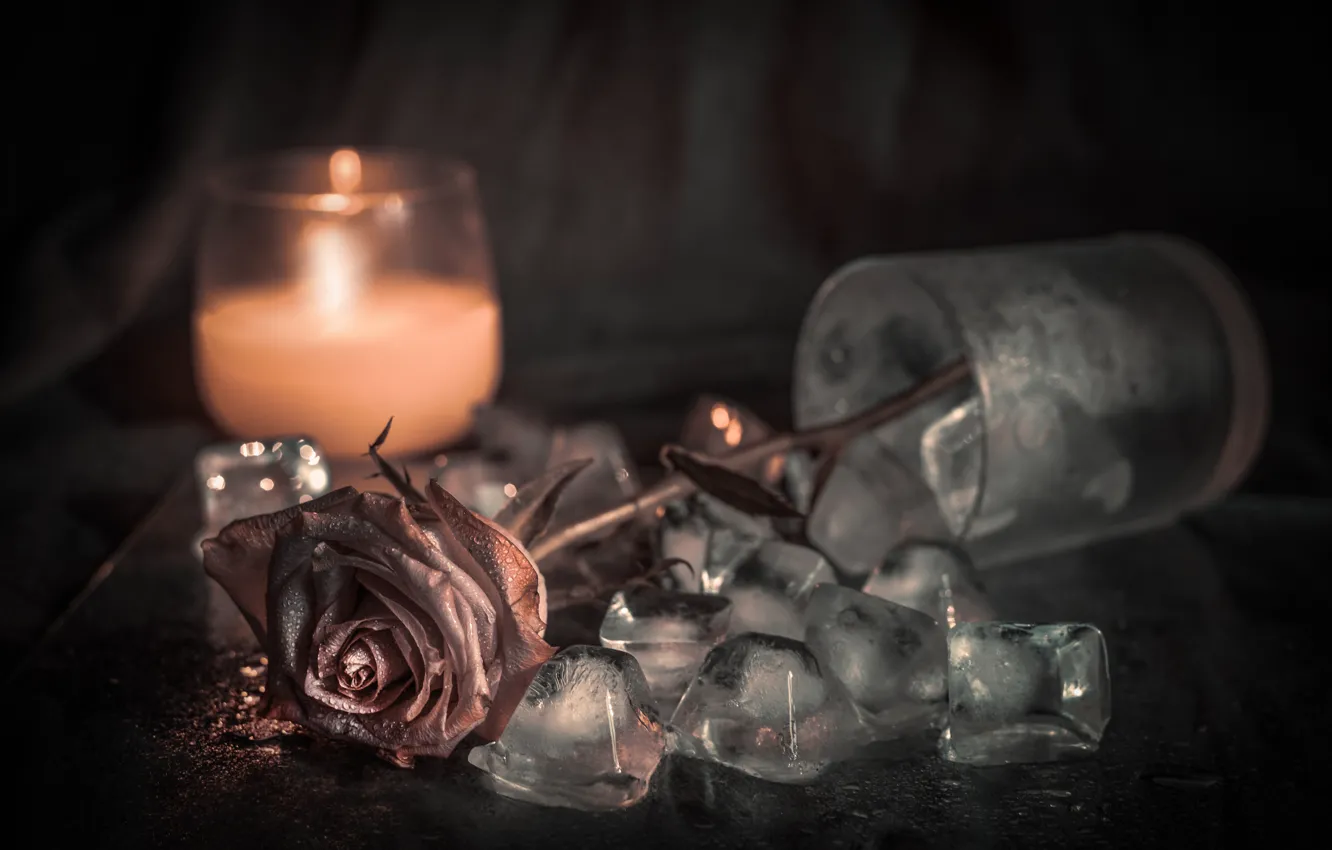 Photo wallpaper ice, flowers, glass, roses, candles