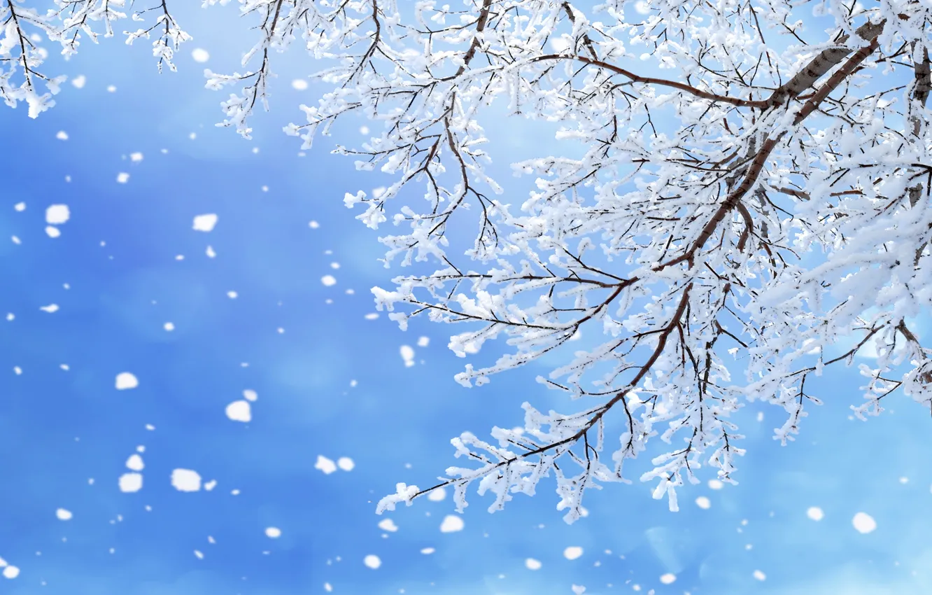 Photo wallpaper winter, forest, snow, trees, snowflakes, nature, winter, snow